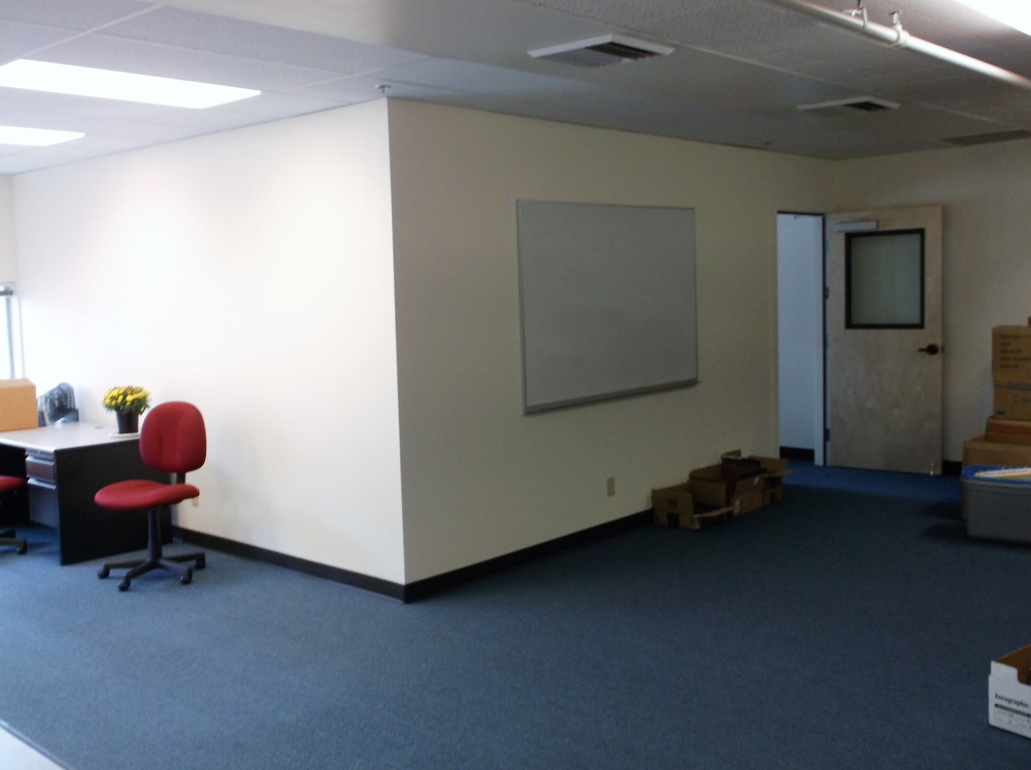 Inside office with white walls and blue carpet