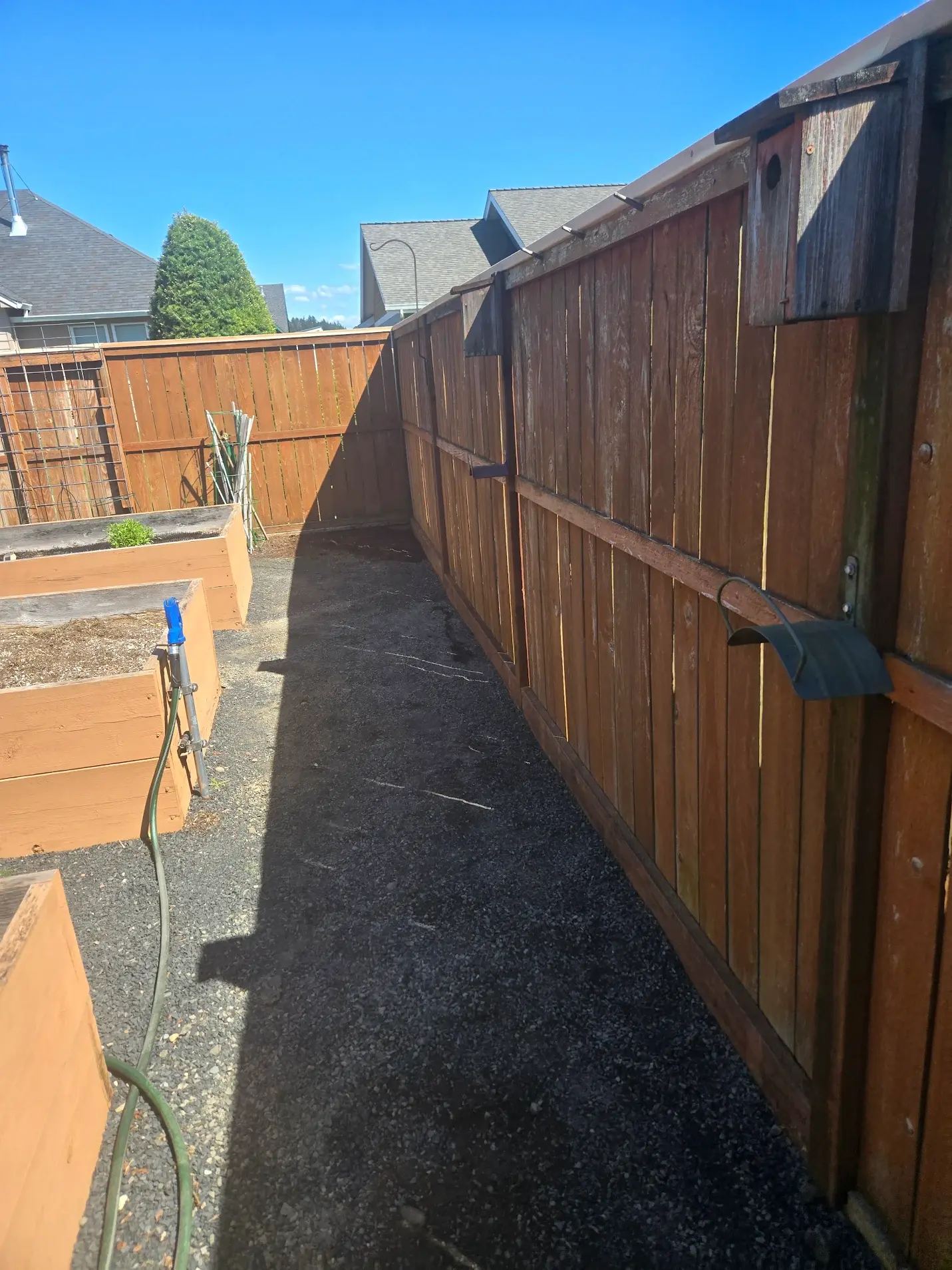 long fence and posts to the right forming a 45 degree angle to the fence in the far back of the picture. Cedar fence with midline wooden horizontal piece and fence cap along top.  Showing multiple posts and raised beds to the left side of the picture.